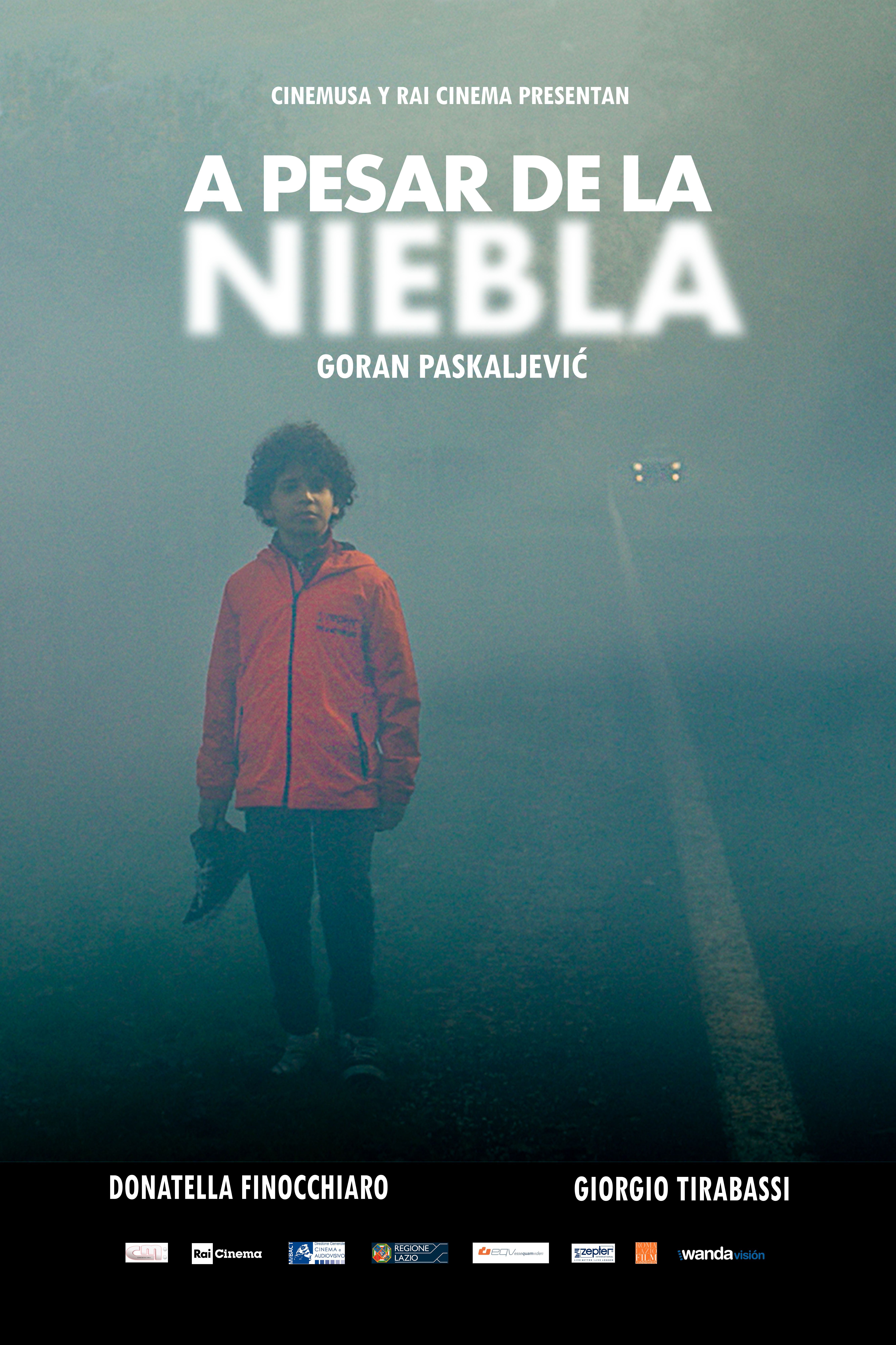 A pesar de la niebla poster image