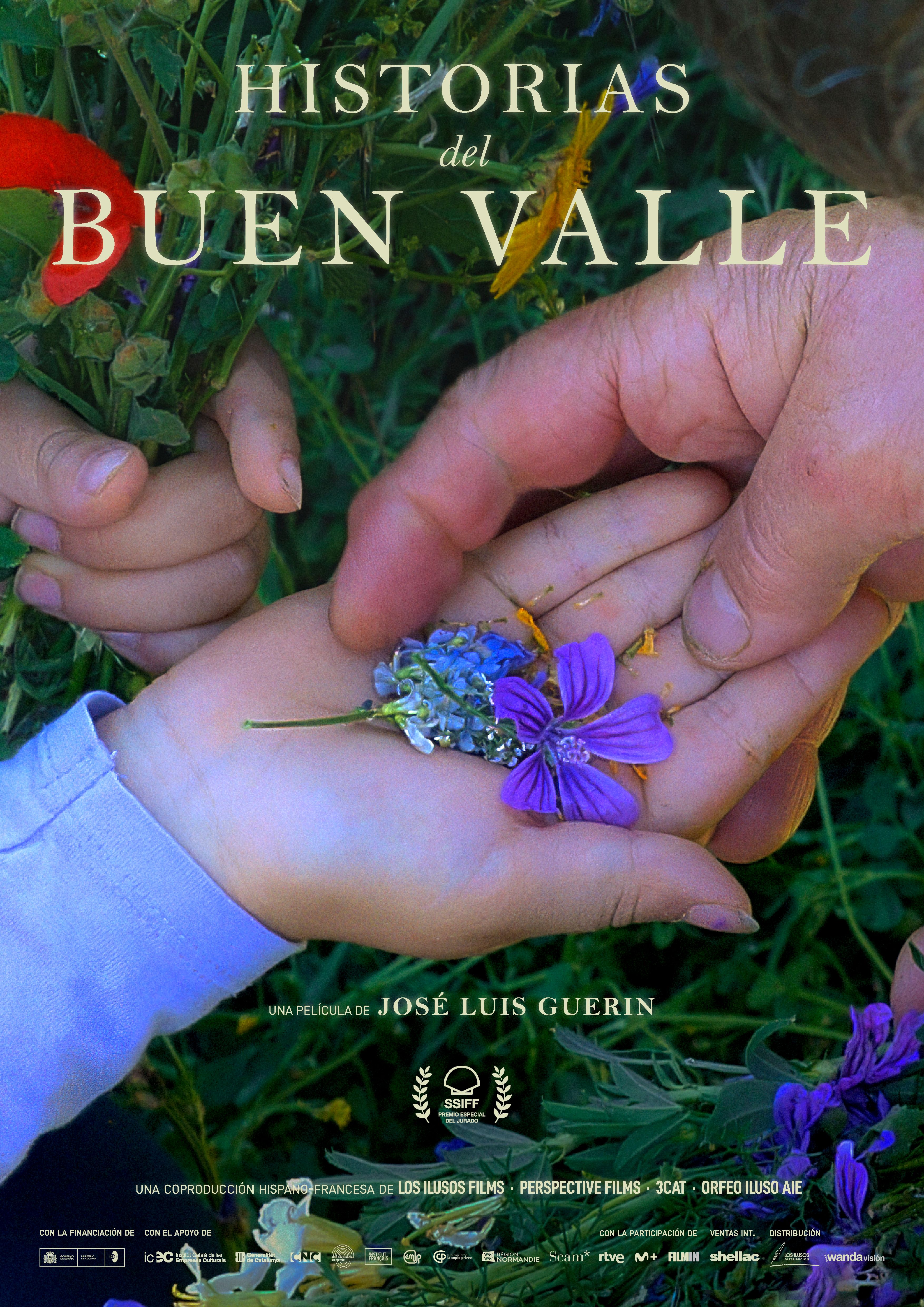 Historias del buen valle poster image