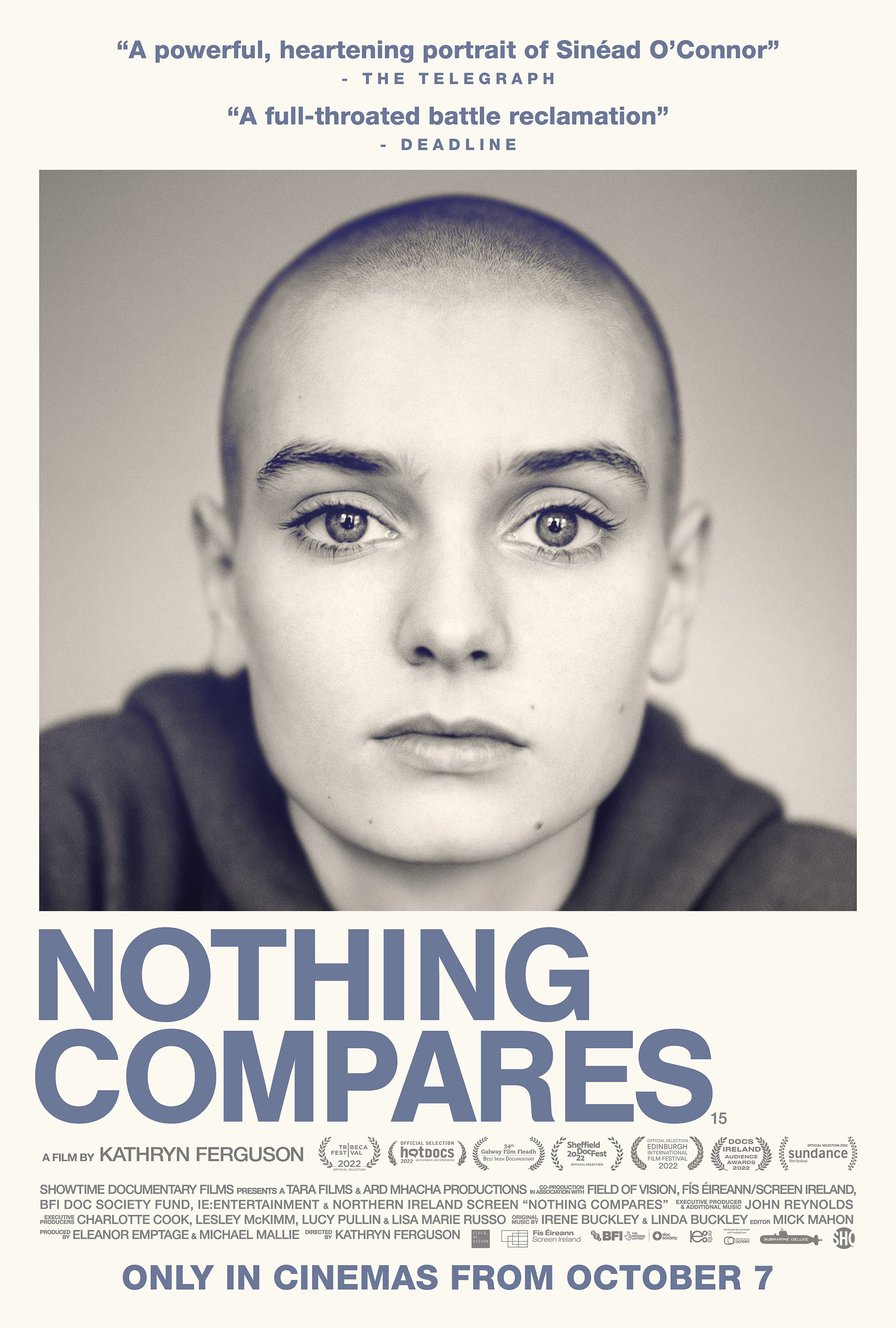 Nothing Compares poster image