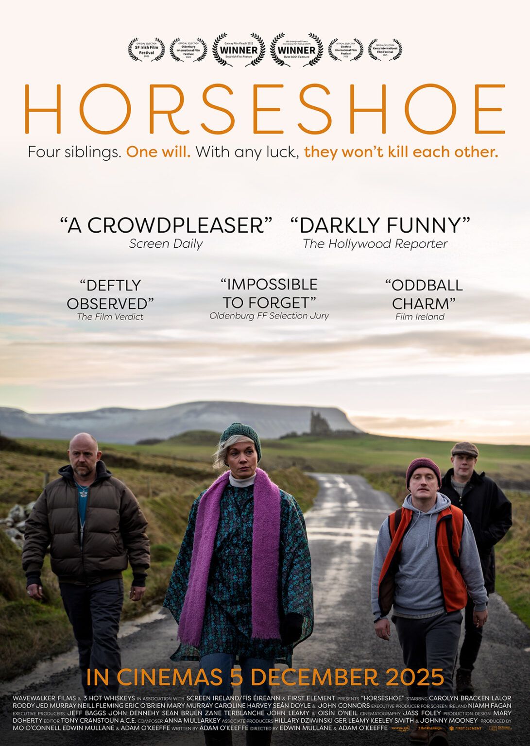 Horseshoe poster image