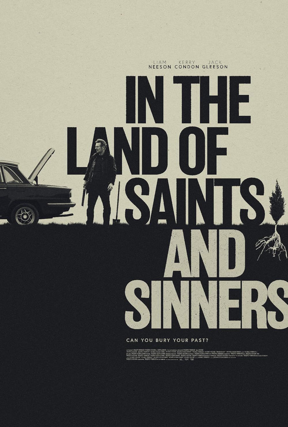 In the Land of Saints and Sinners poster image
