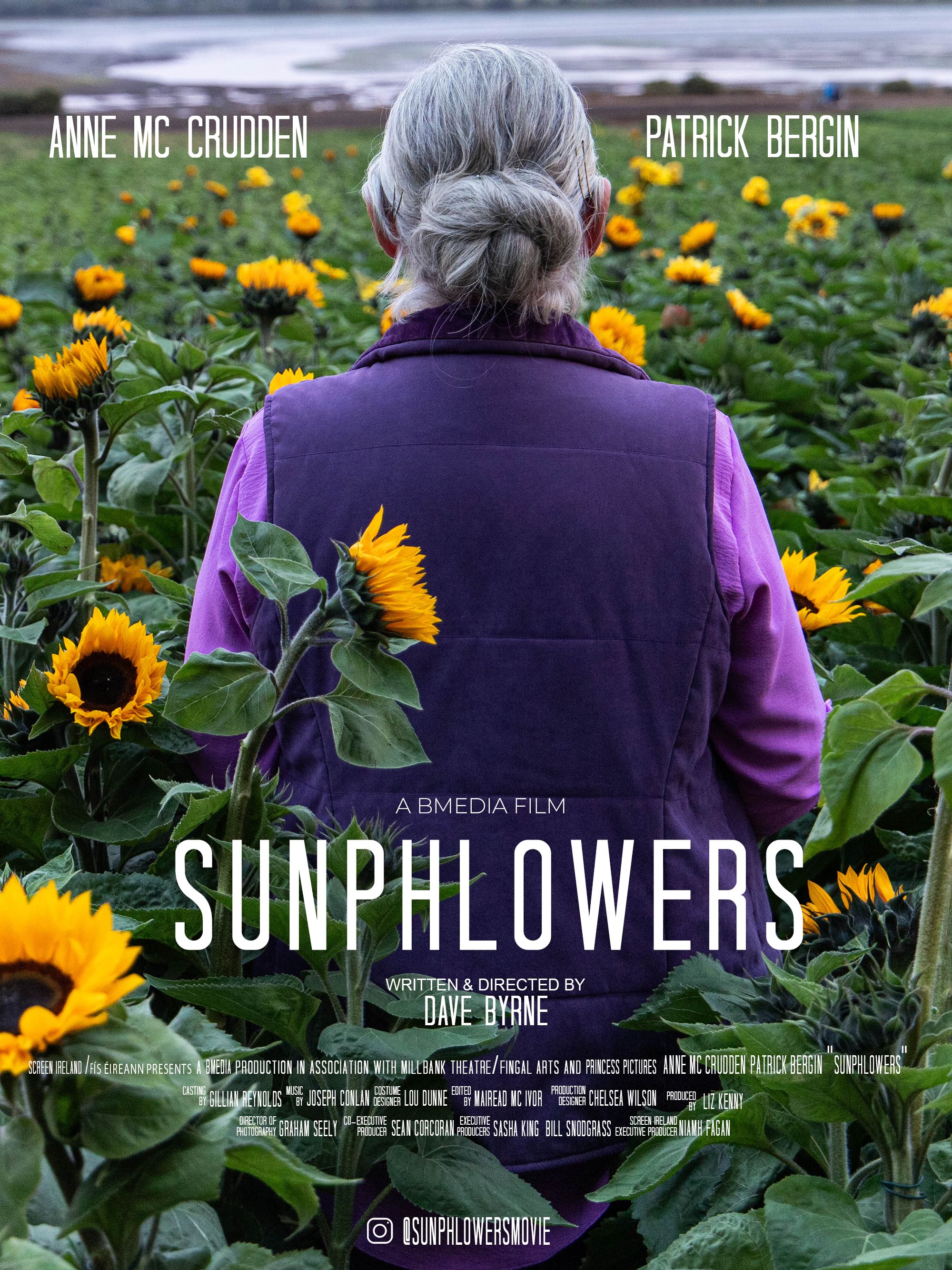 Sunphlowers poster image