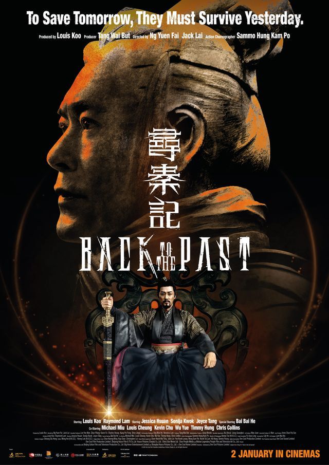 Back to the Past poster image
