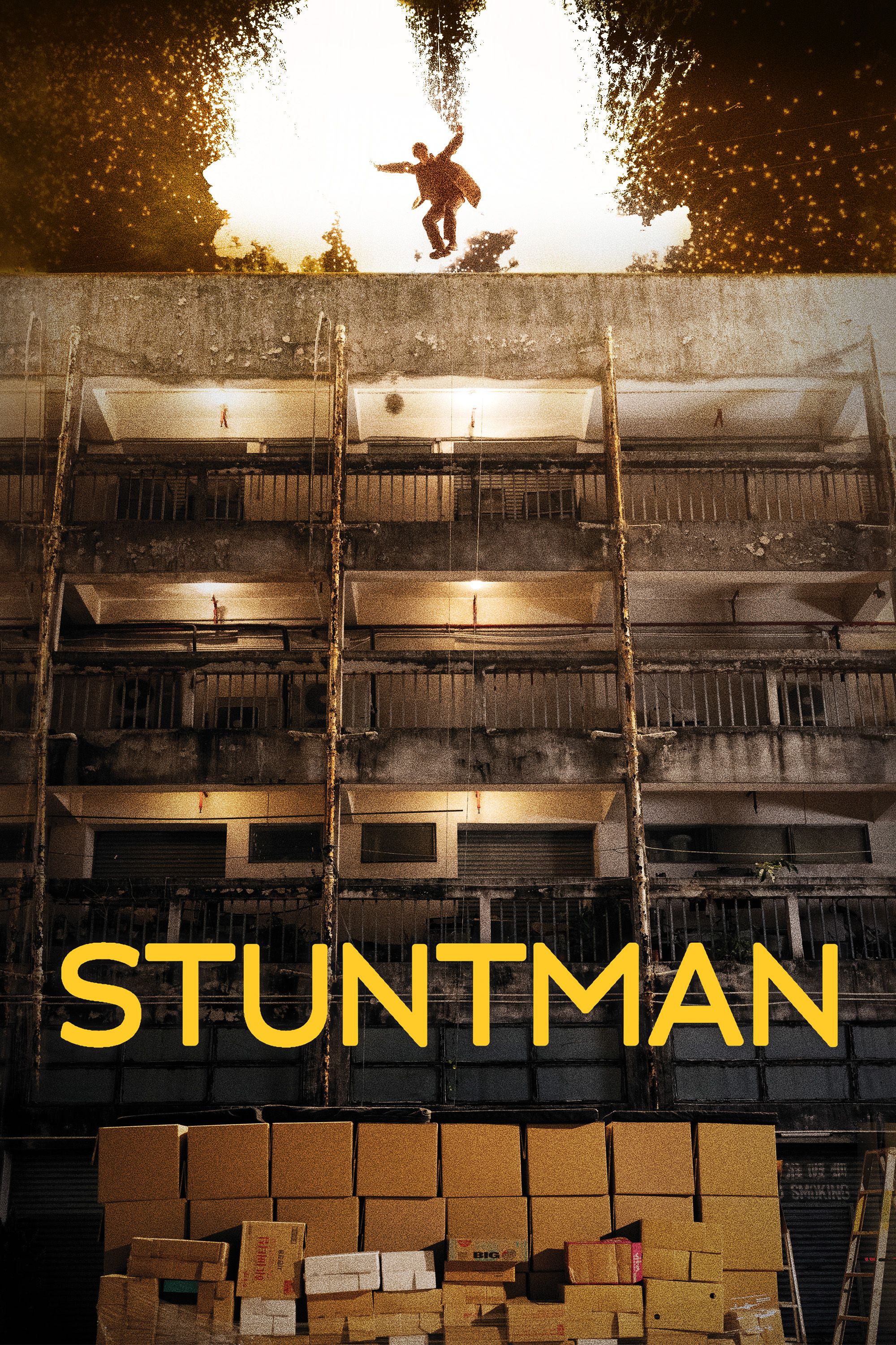 Stuntman poster image