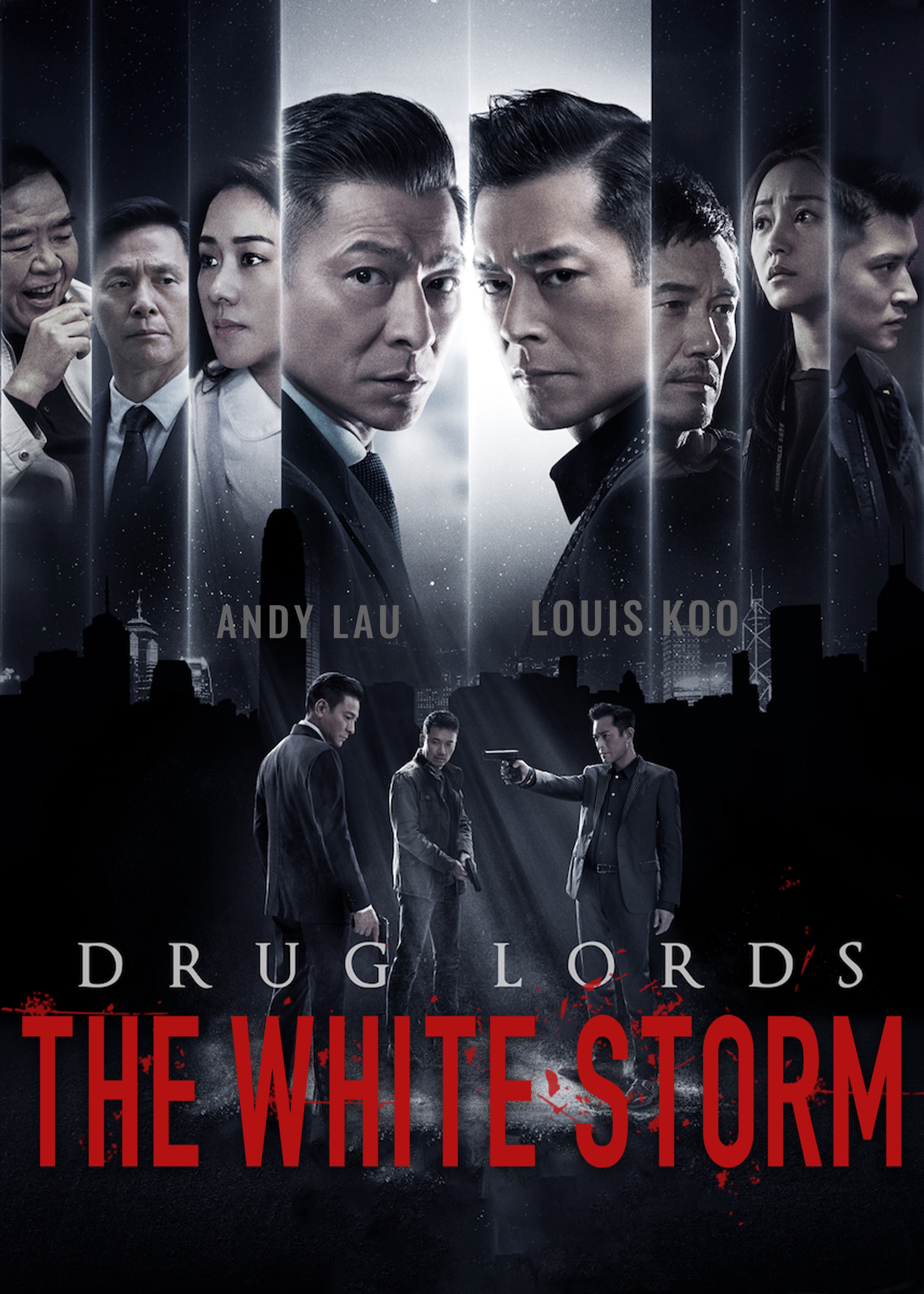 The White Storm 2: Drug Lords poster image