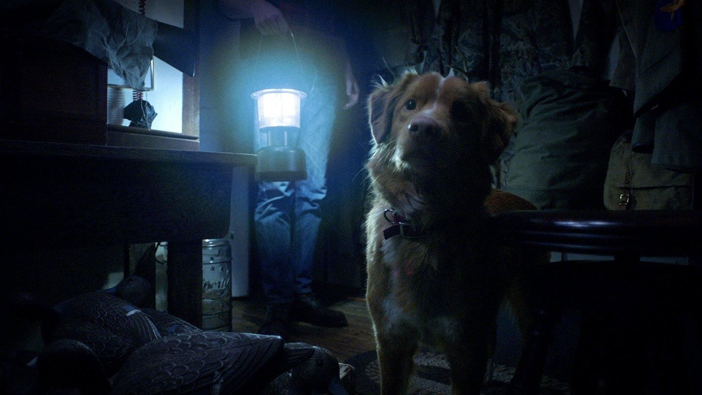 Good Boy feature video