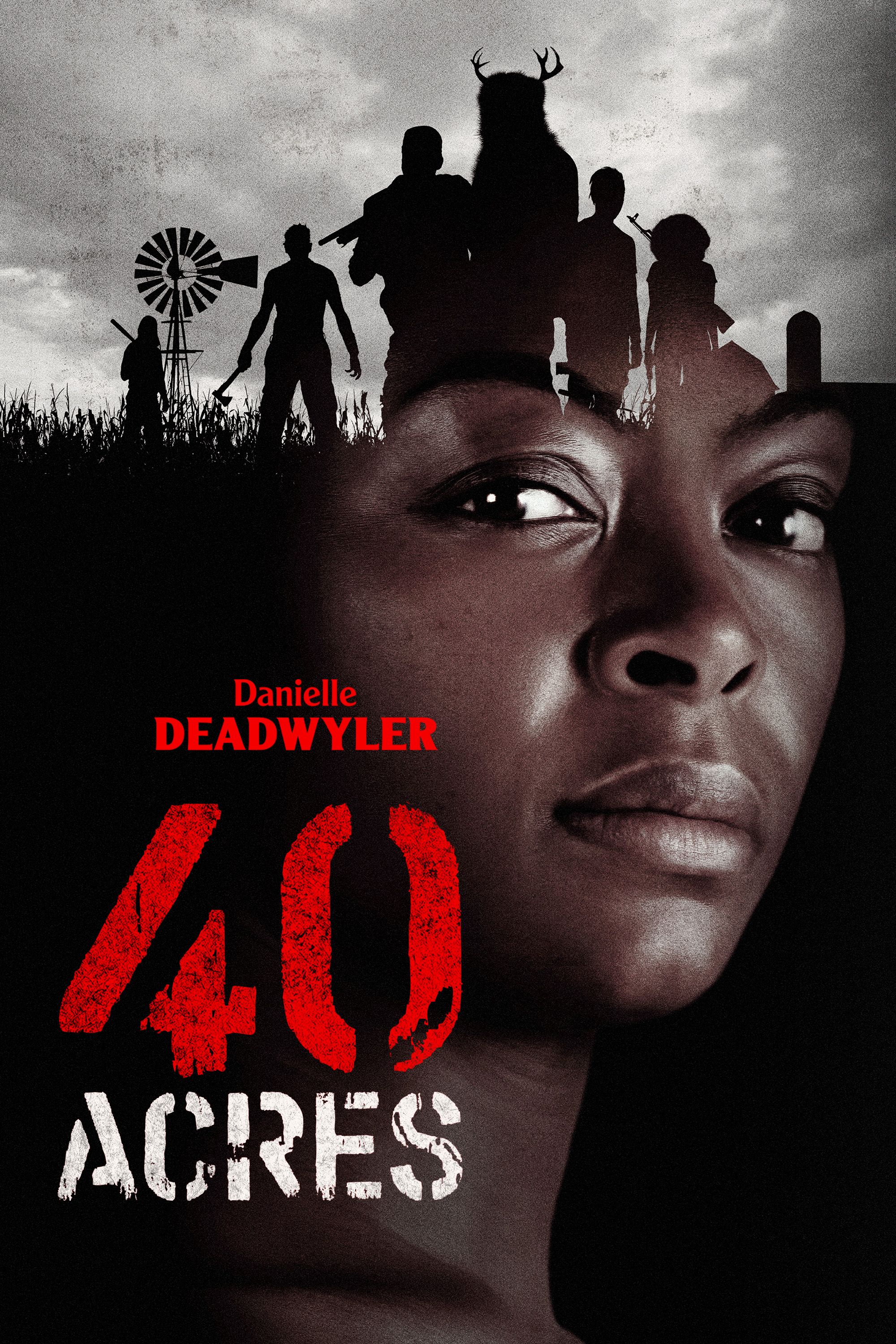 40 Acres poster image