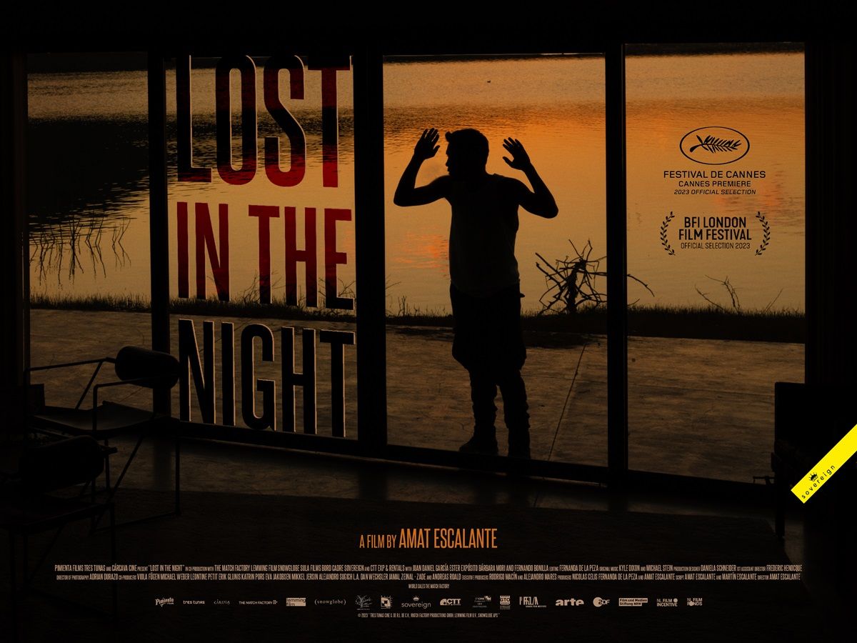 Lost in the Night poster image