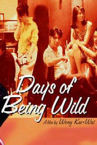 Days of Being Wild logo