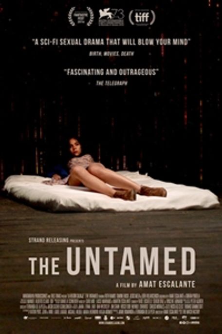 poster for The Untamed