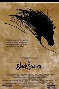 The Black Stallion logo