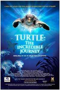 Tortuga - Die unglaubliche Reise der Meeresschildkröte poster image