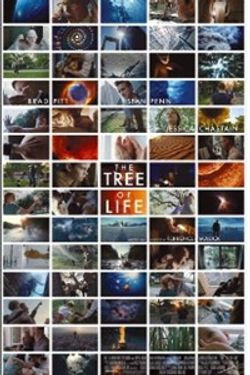The Tree of Life