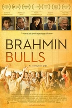 Brahmin Bulls