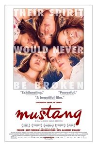 Mustang poster image