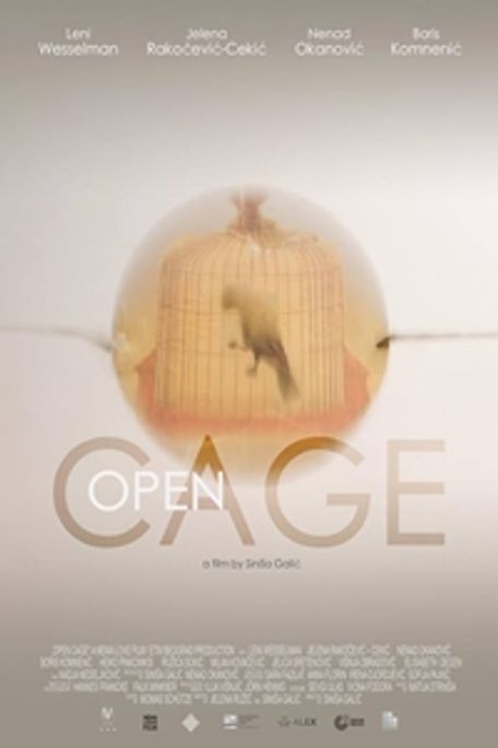 poster for Open Cage