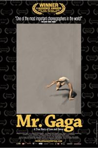 Mr. Gaga poster image