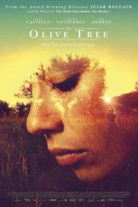 The Olive Tree poster image