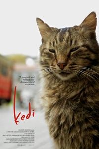 Kedi logo