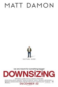 Downsizing logo