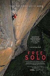 Free Solo poster image