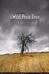 The Wild Pear Tree poster image