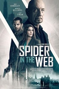 Spider in the Web logo