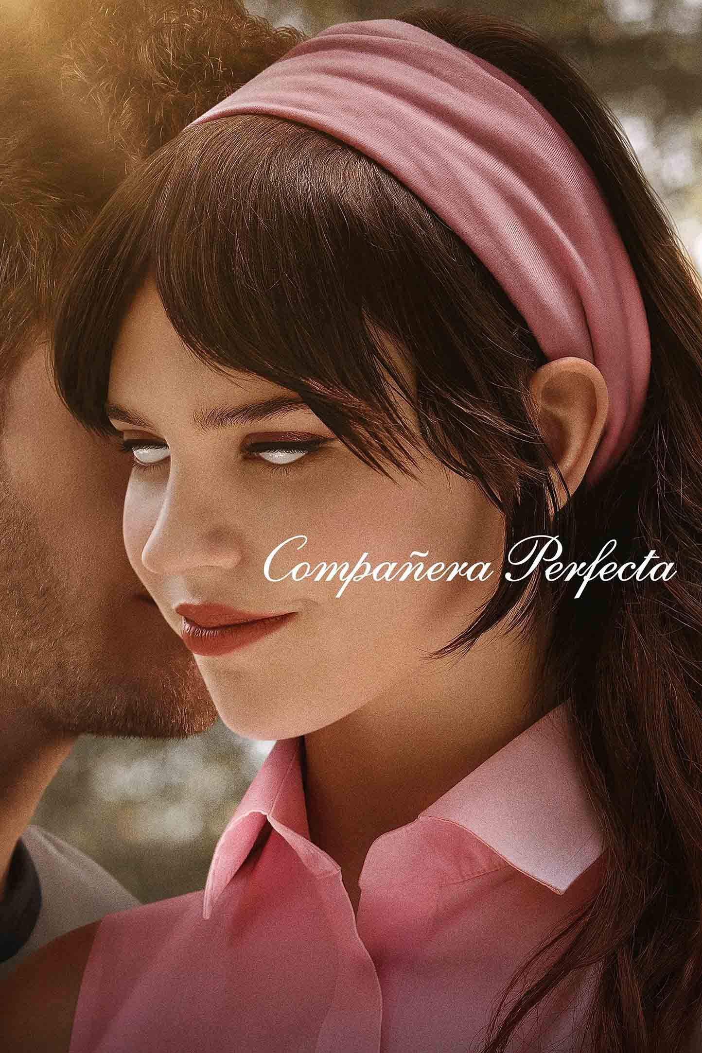 Compañera perfecta poster image