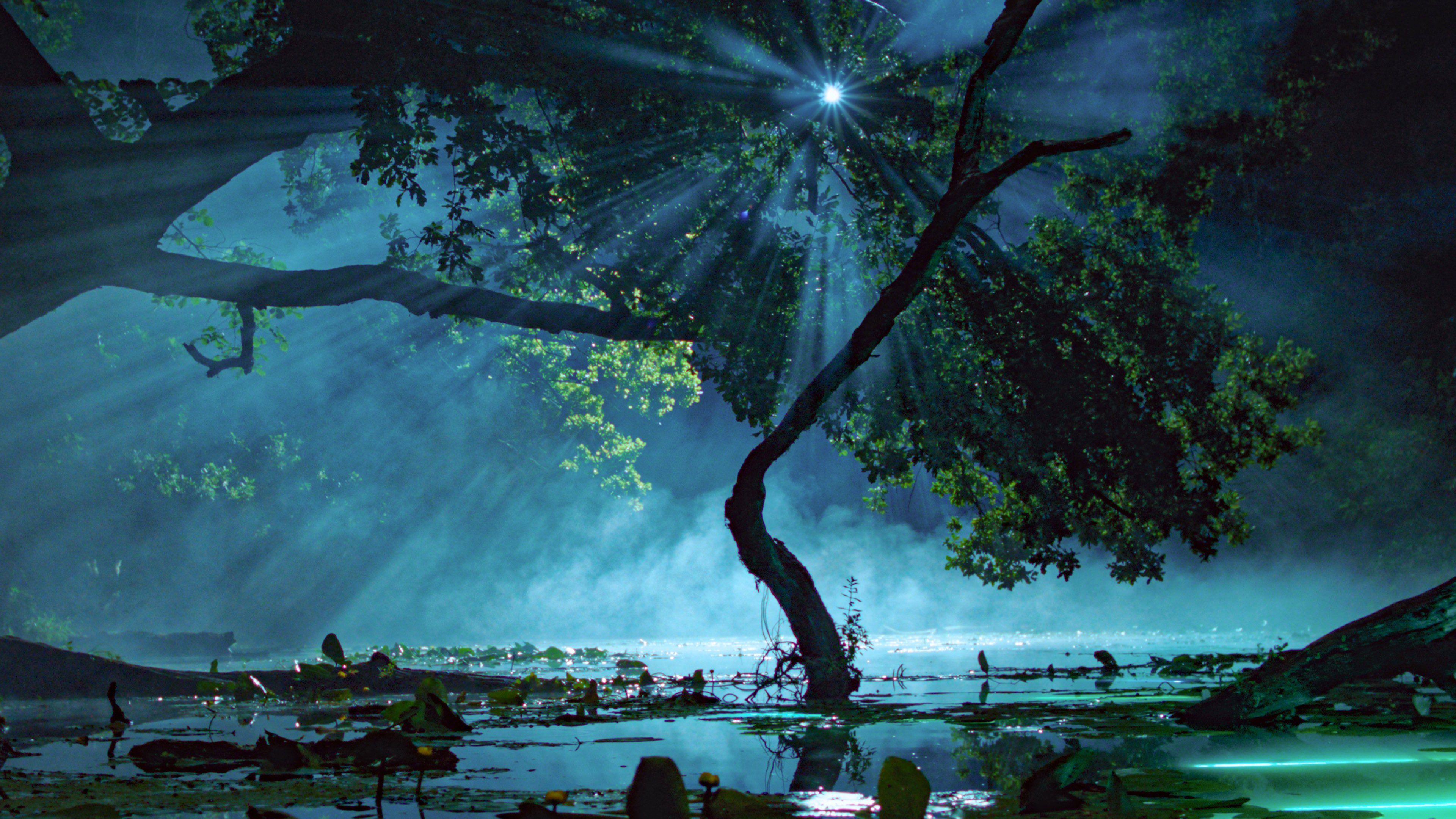 movie gallery carousel