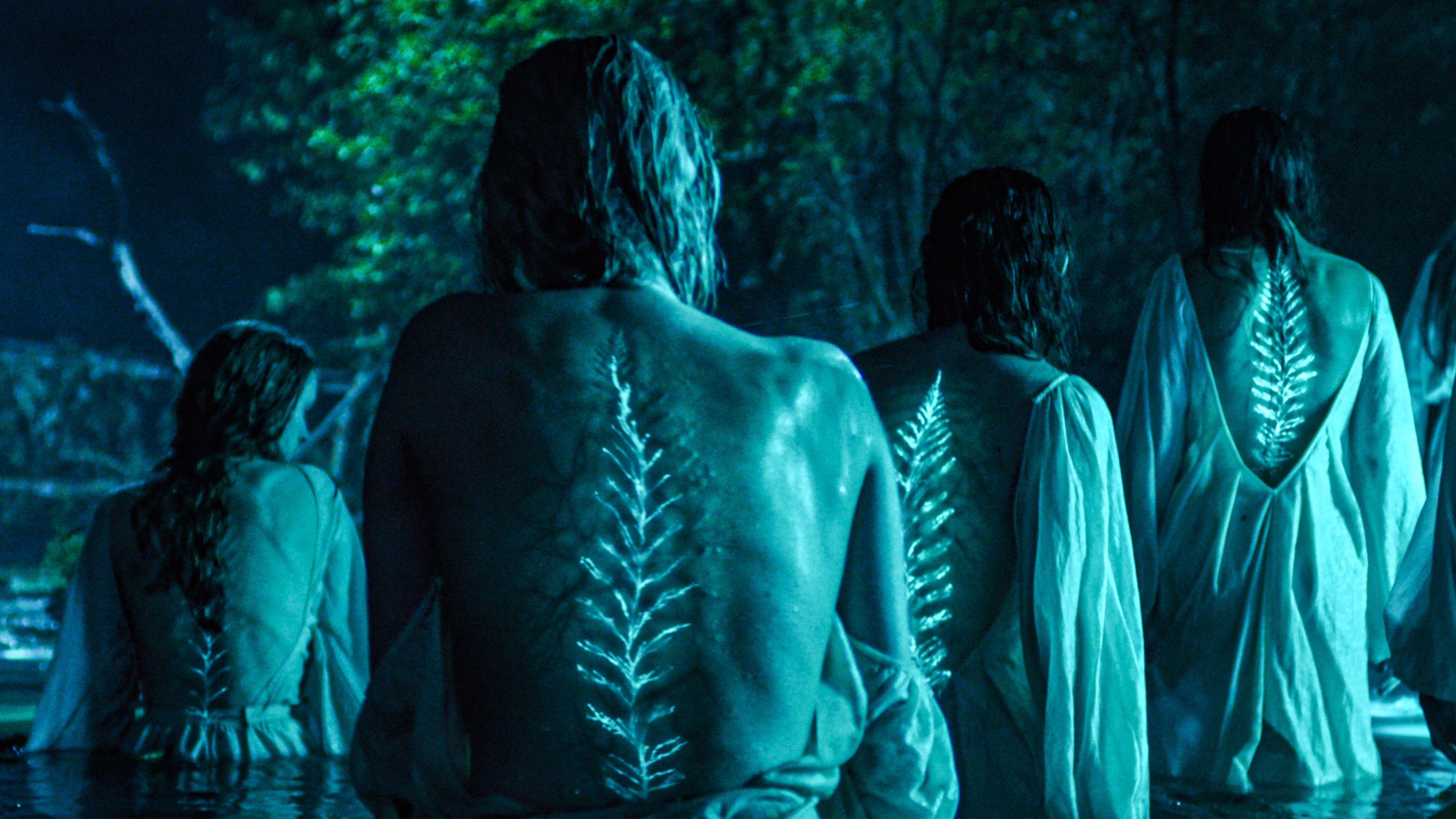 movie gallery carousel