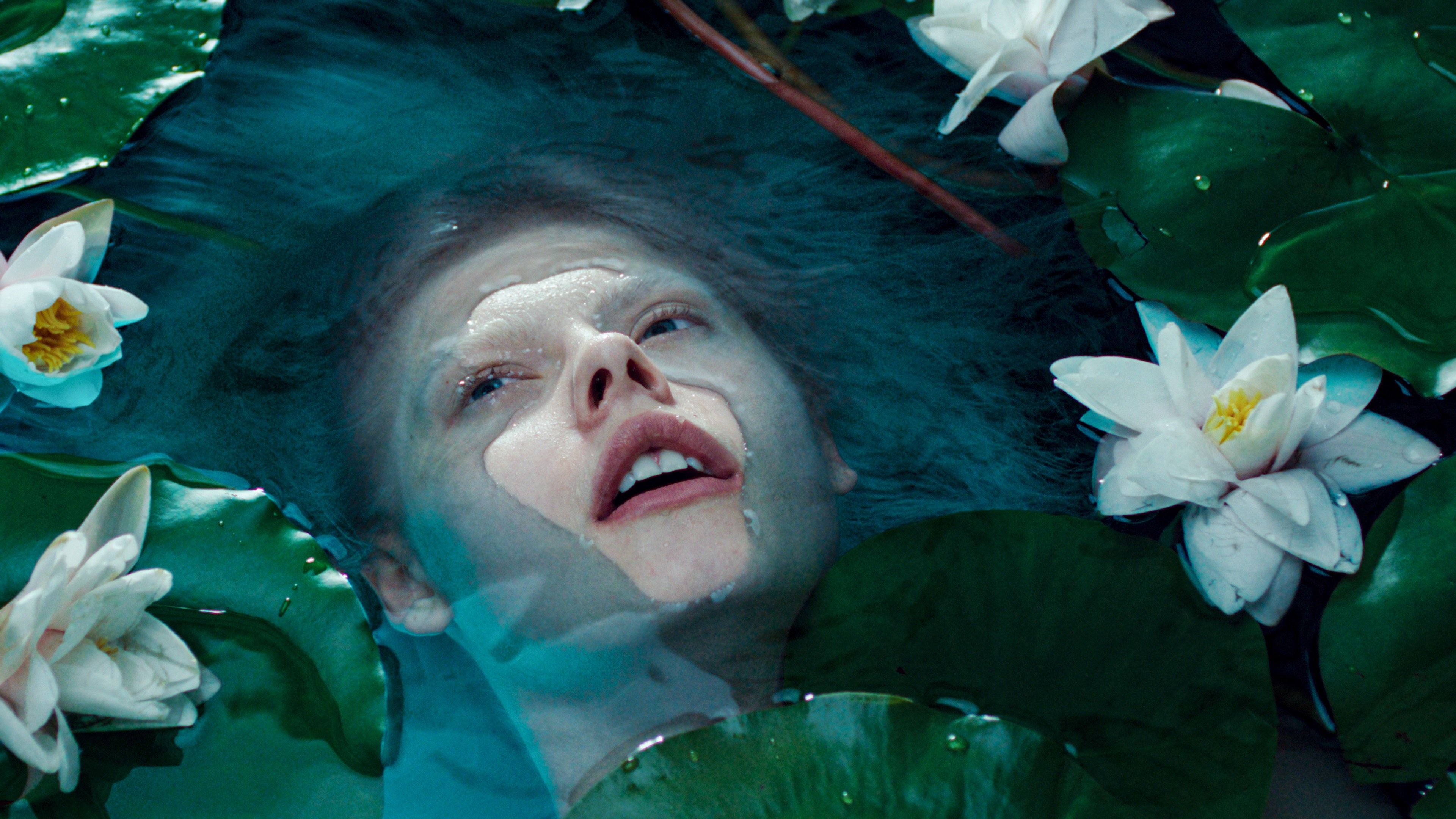 movie gallery carousel