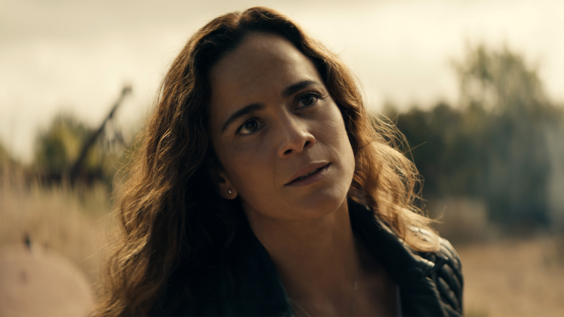 movie gallery carousel