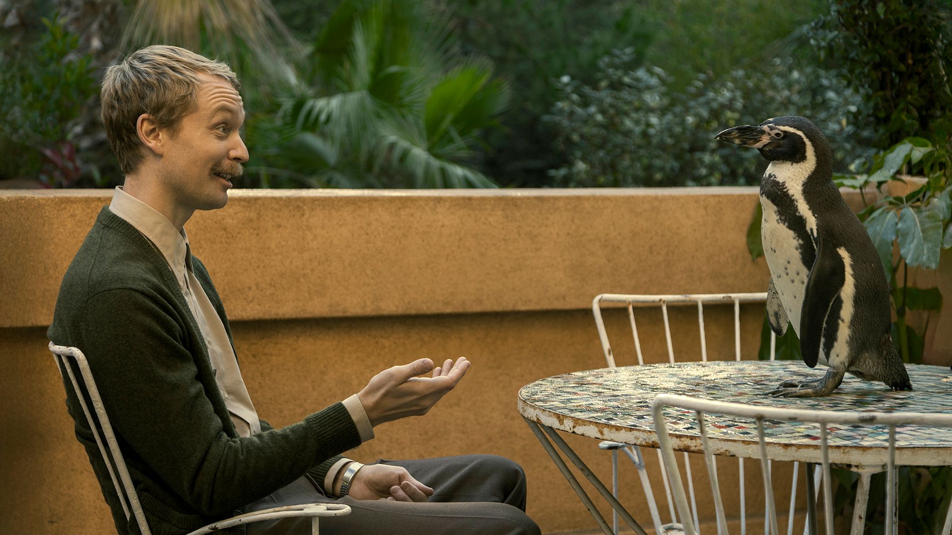 movie gallery carousel