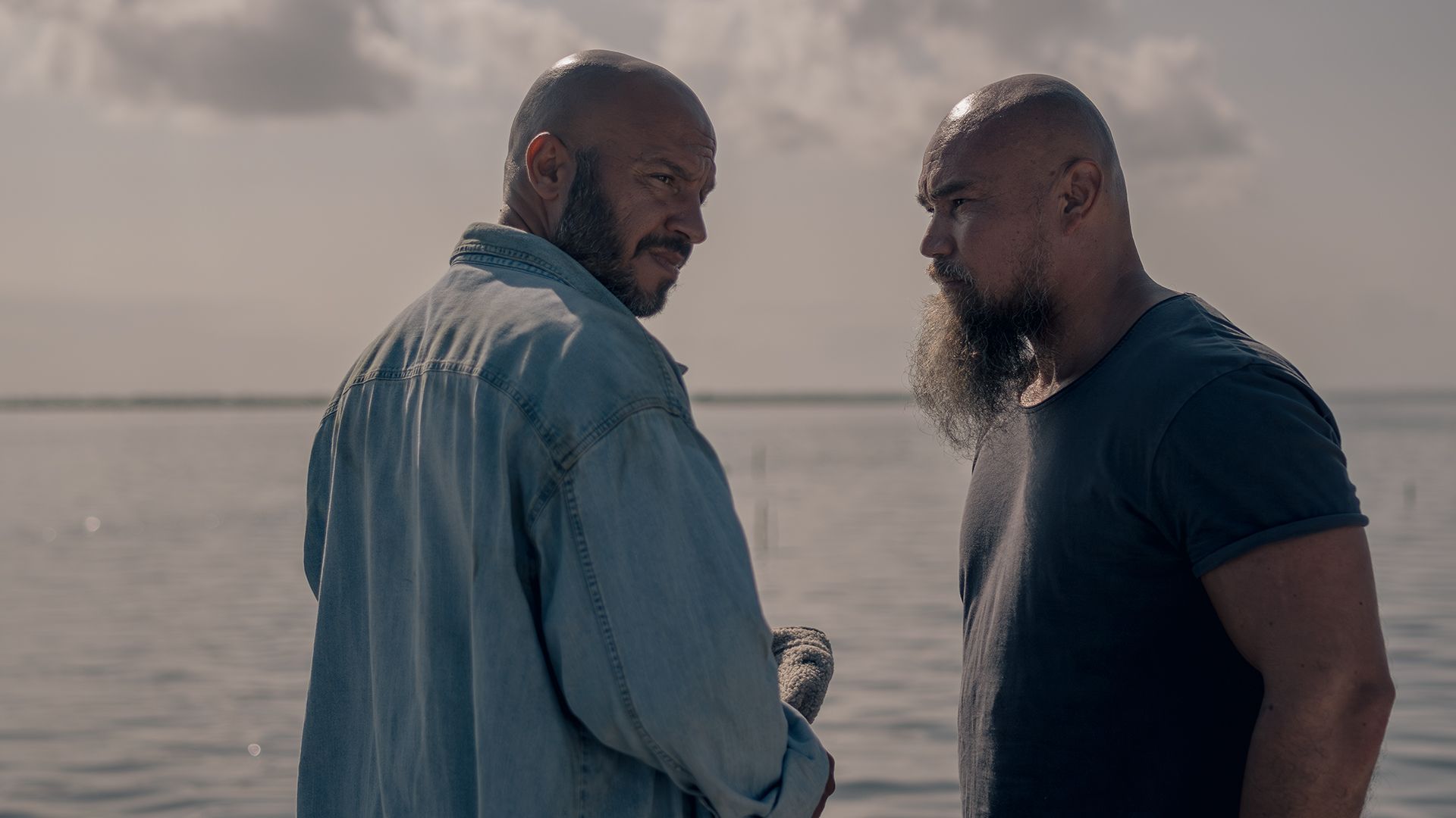 movie gallery carousel