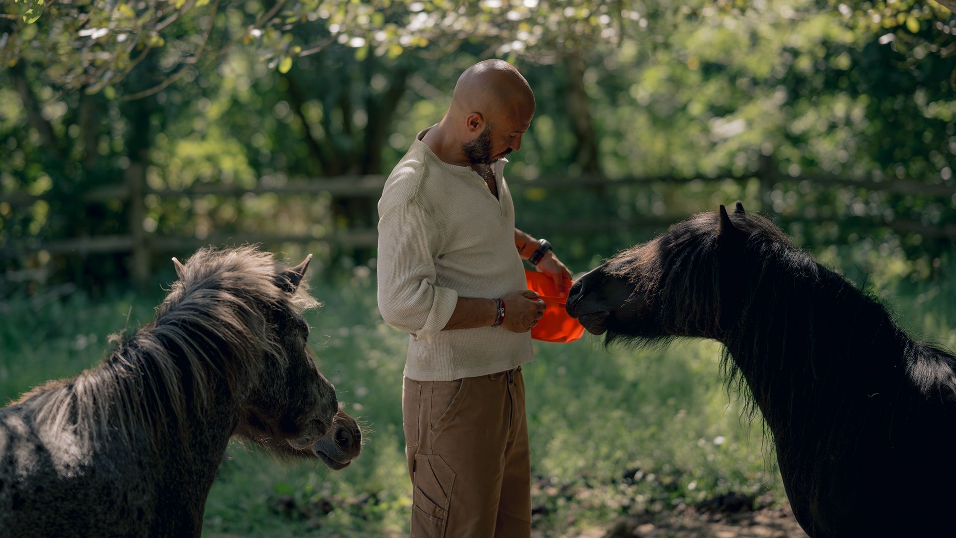 movie gallery carousel