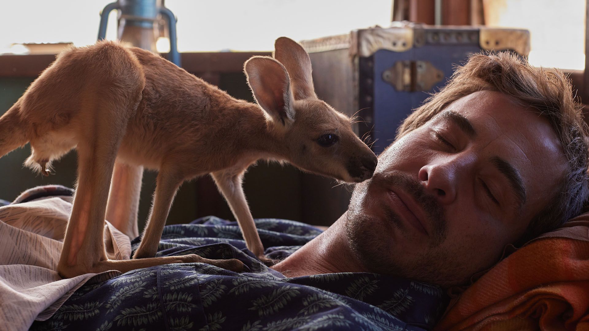 movie gallery carousel