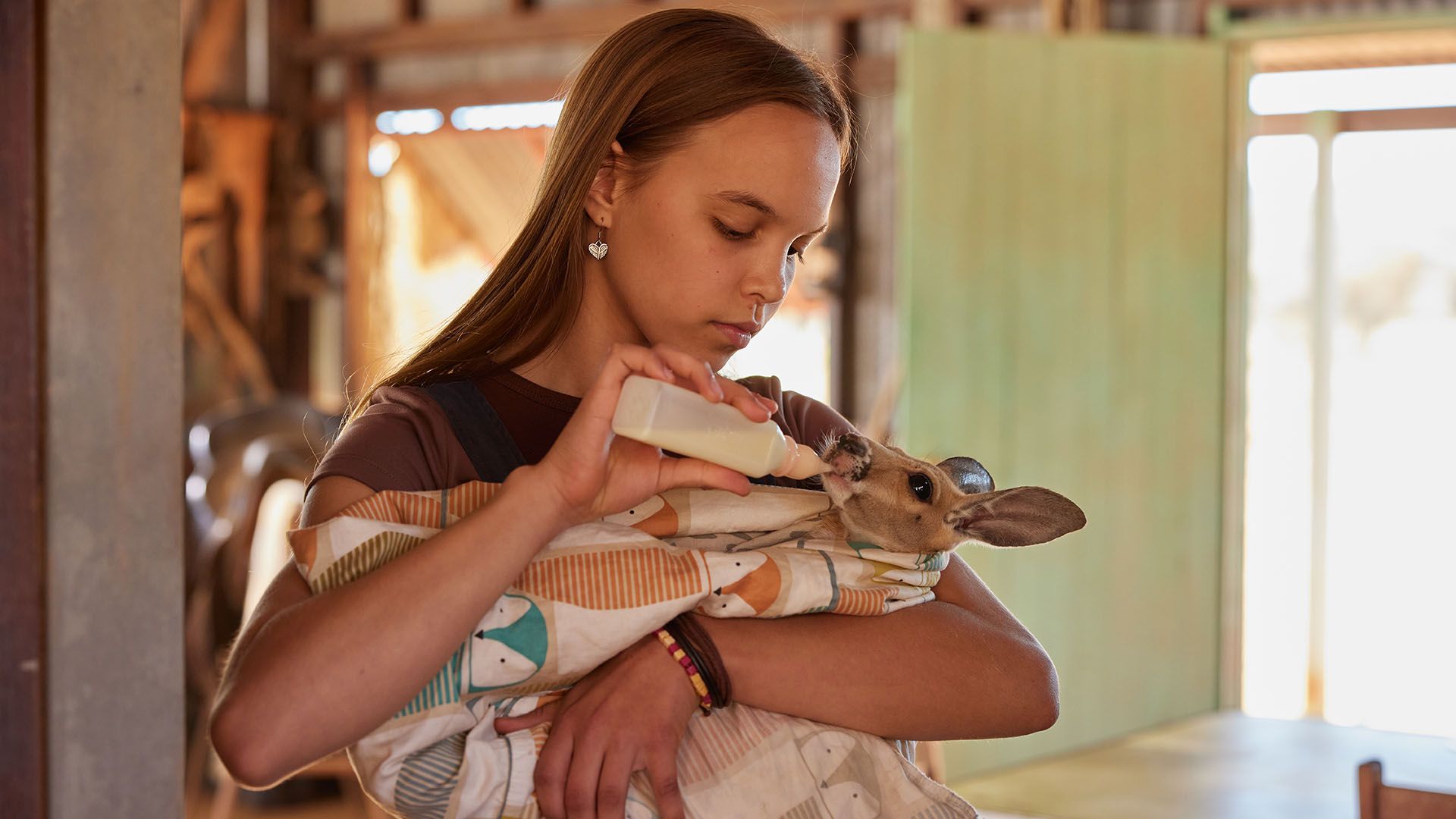 movie gallery carousel