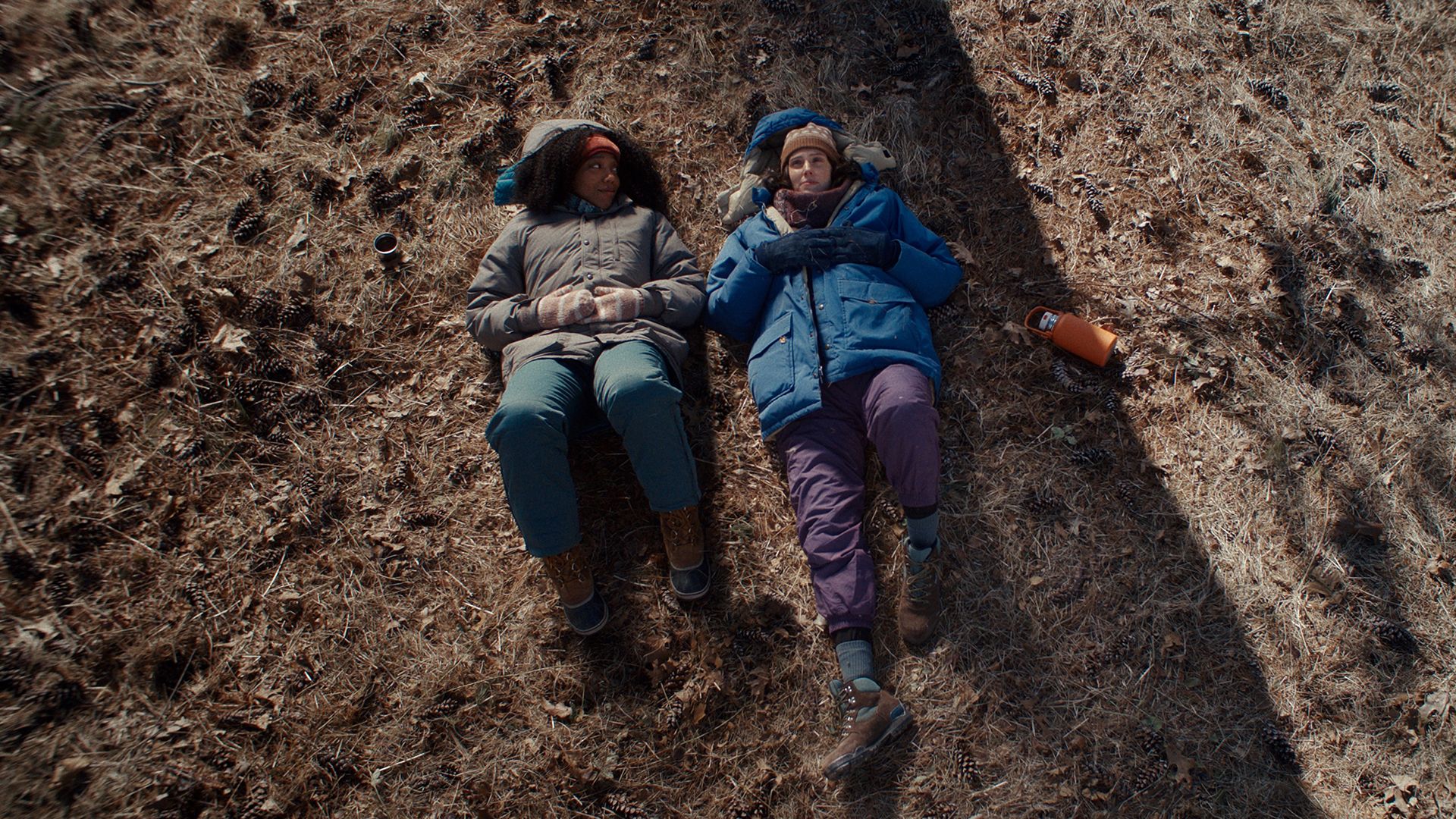 movie gallery carousel