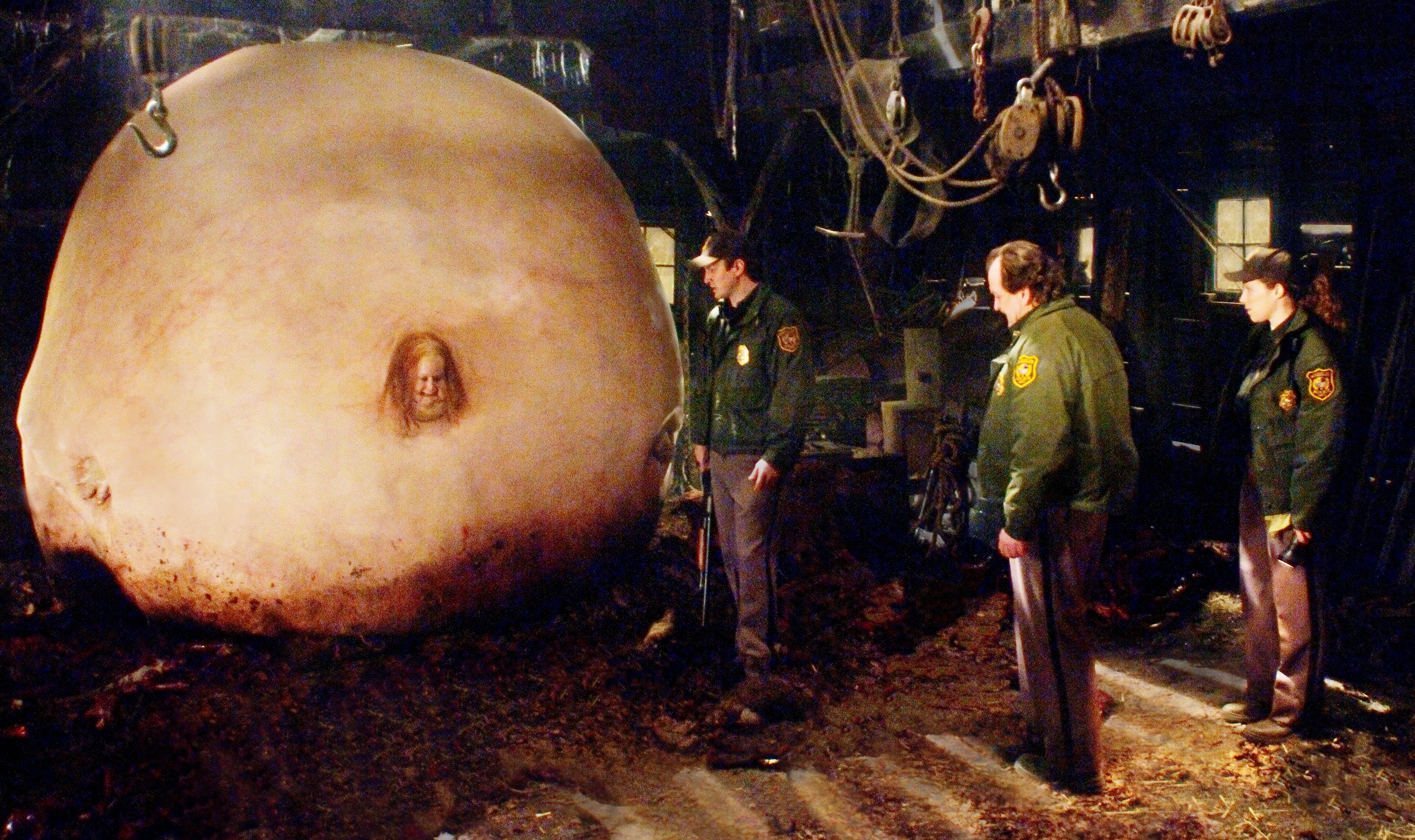 movie gallery carousel