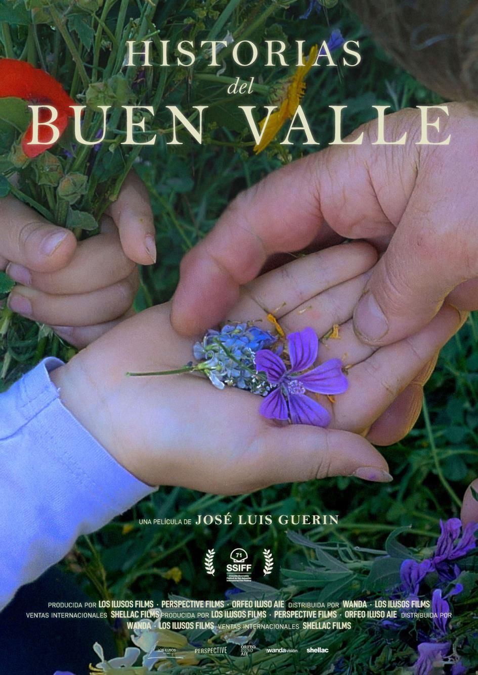 Historias del buen valle poster image
