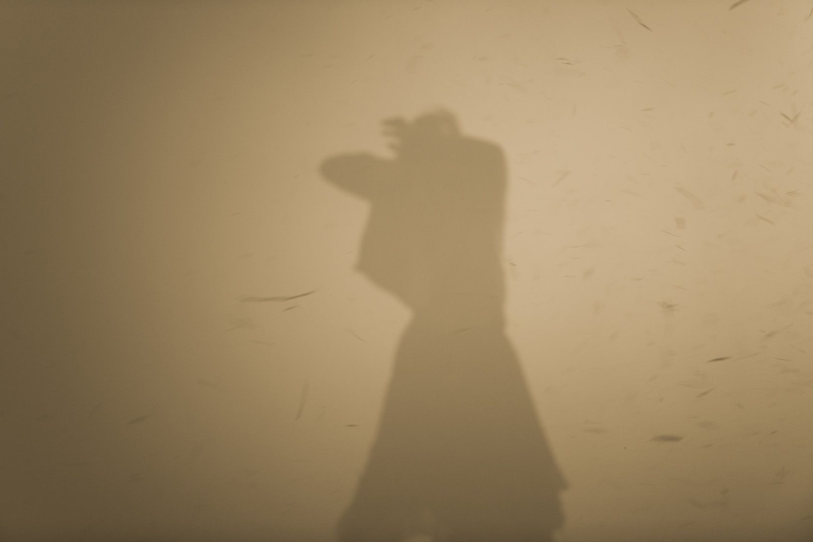 DUSTLAND thumbnail