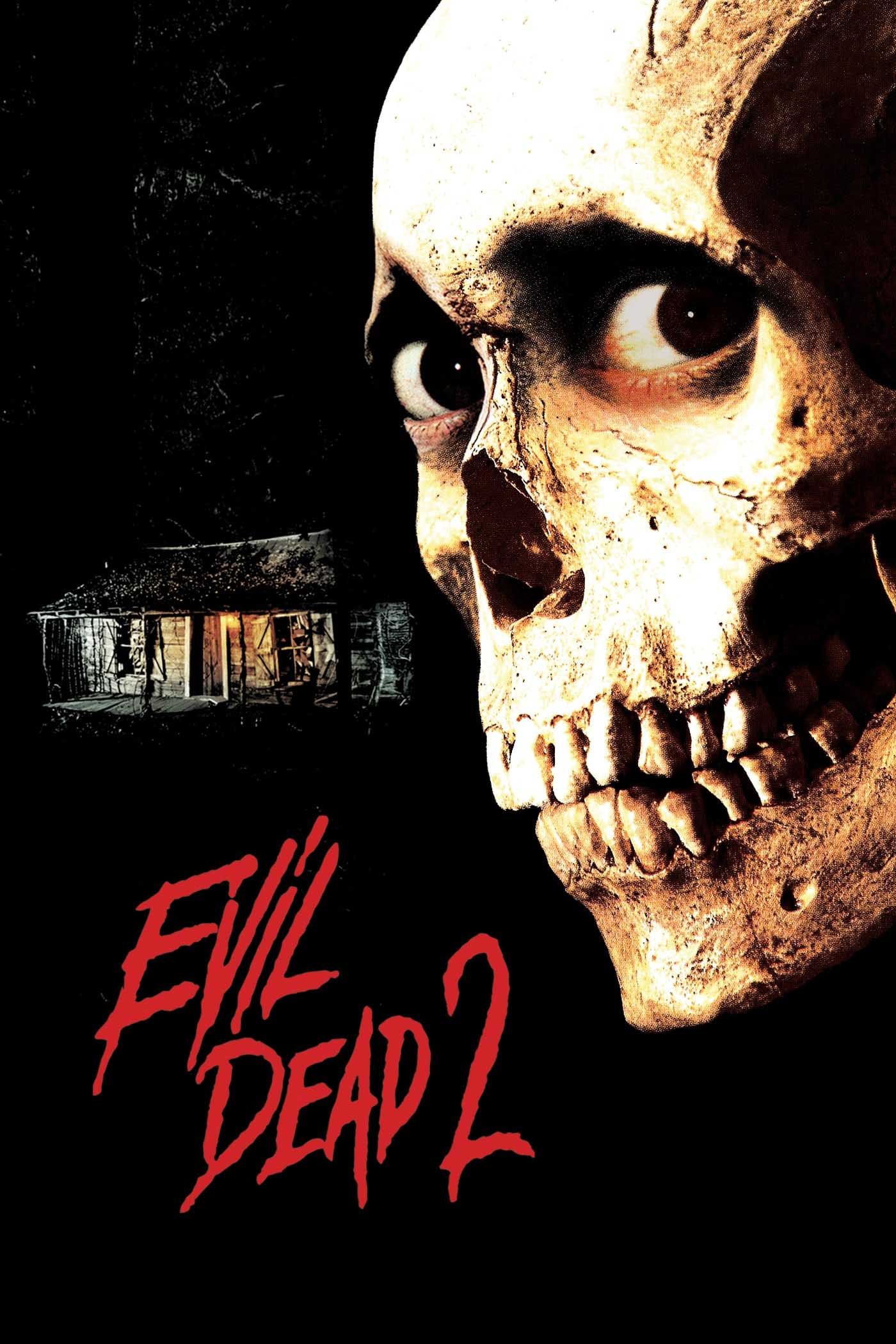 Evil Dead 2: Noche Alucinante poster image