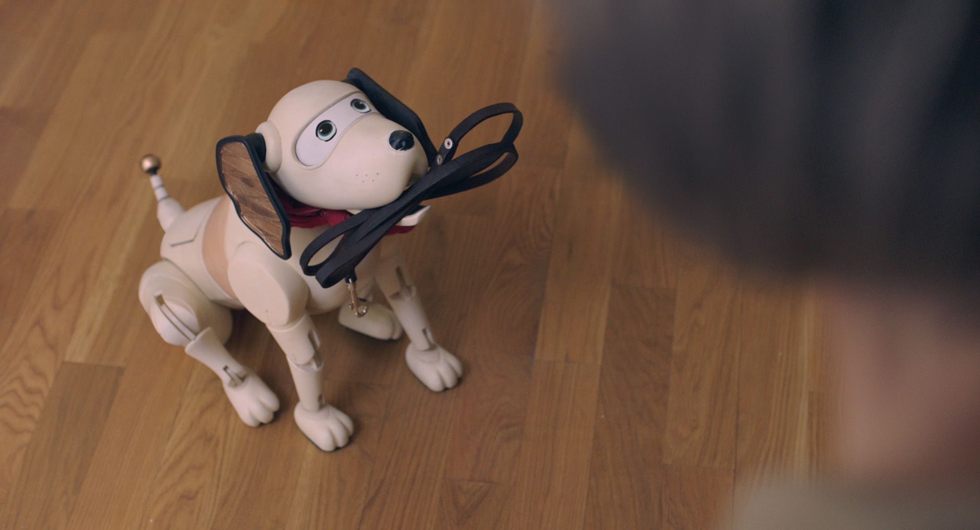 FIDO thumbnail