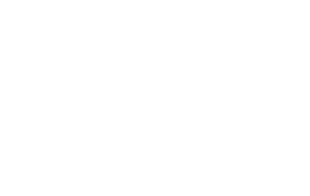 Fly logo