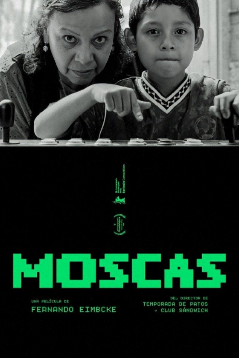 Moscas poster image