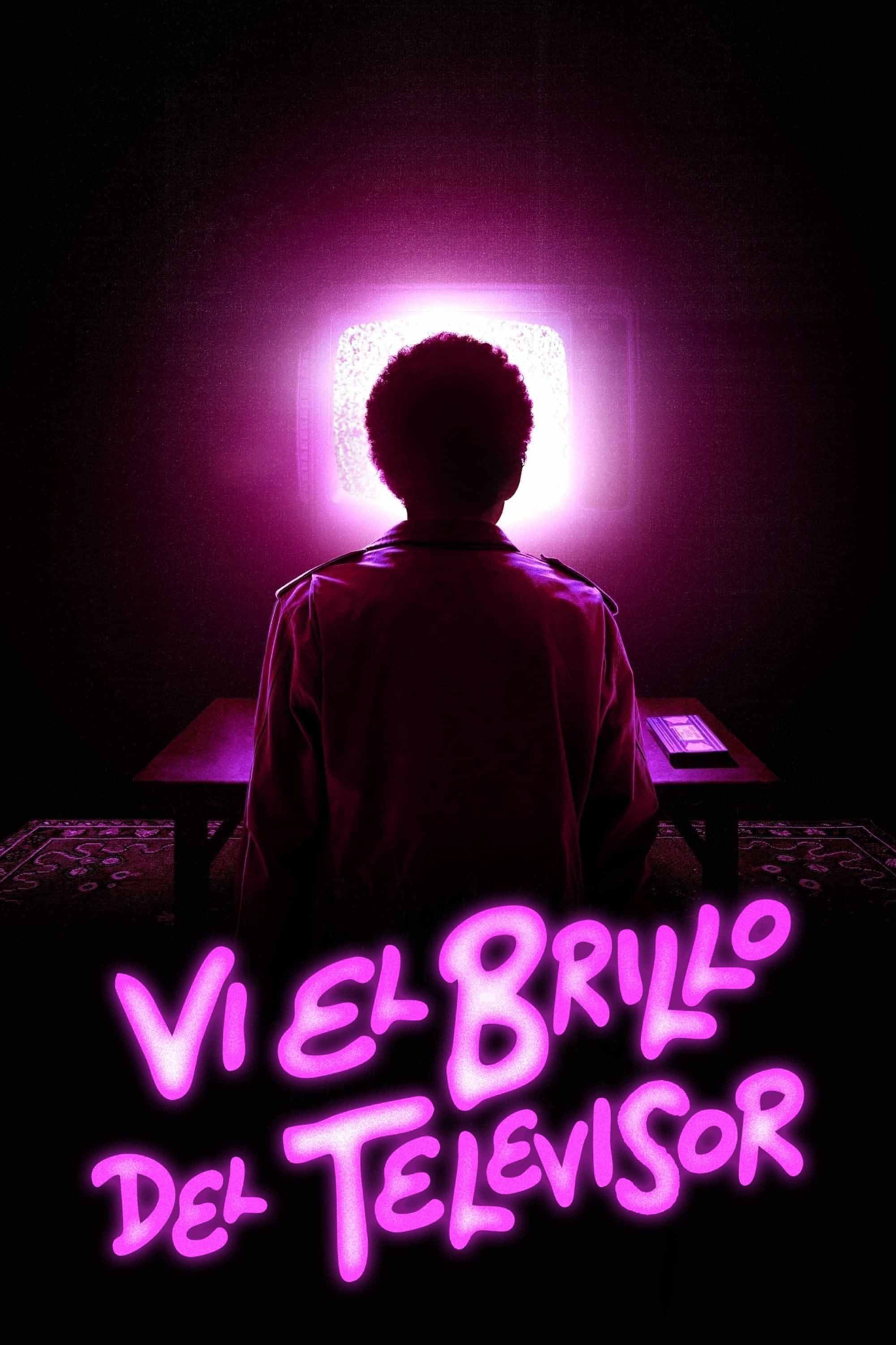 Vi el brillo del televisor poster image