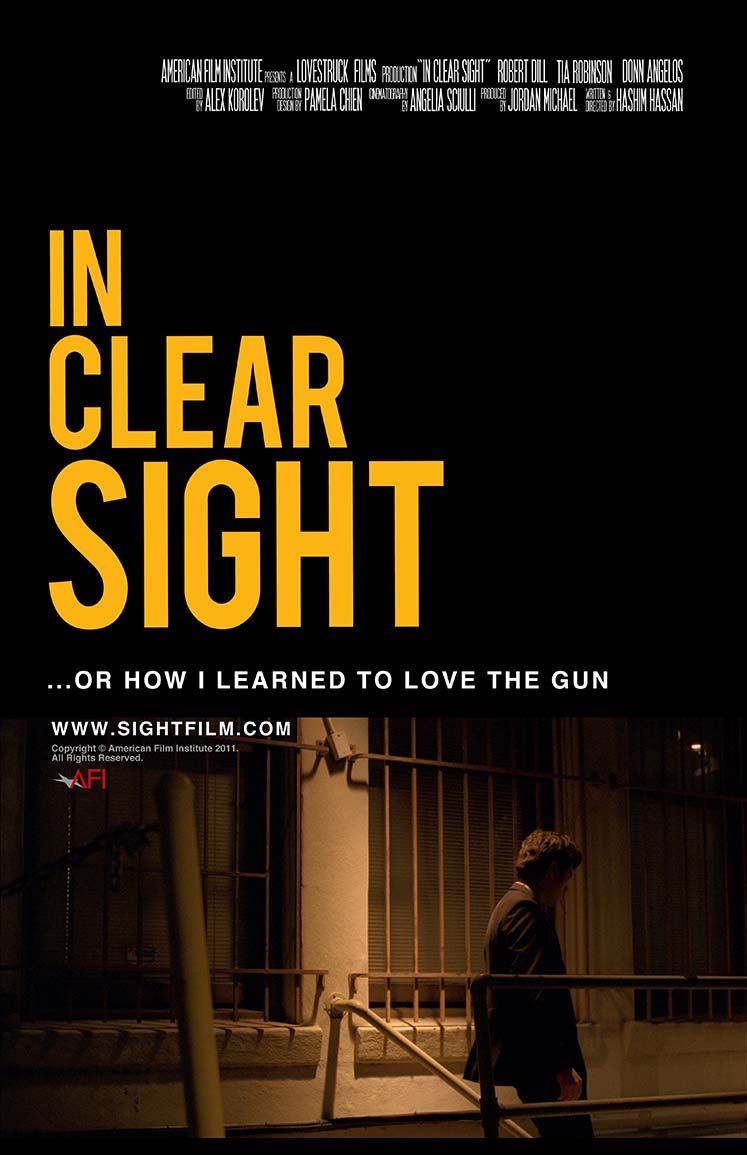 IN CLEAR SIGHT logo