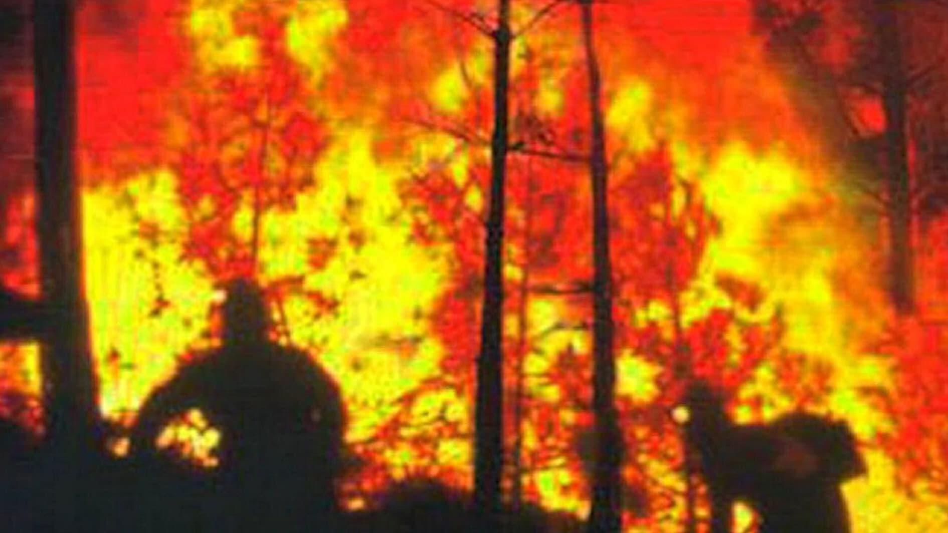 Smoke Jumpers thumbnail