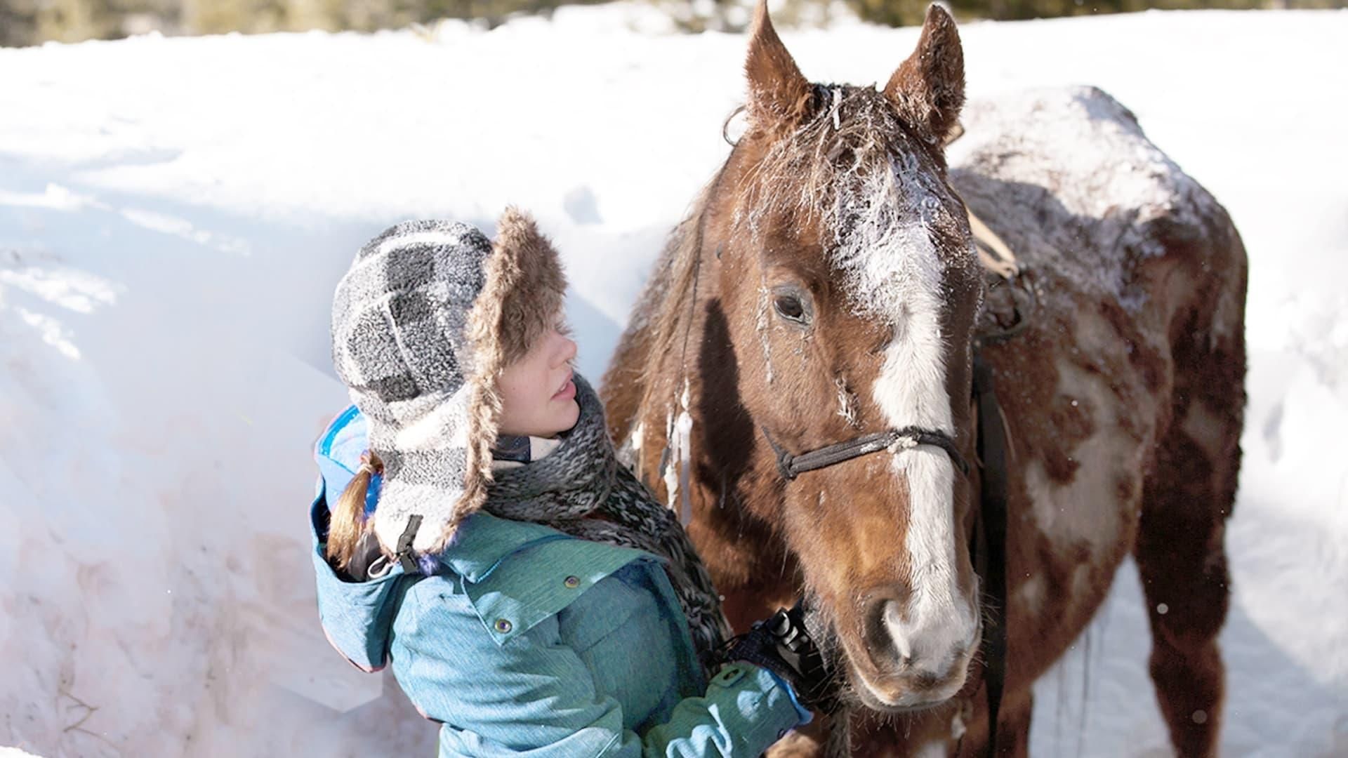 The Horses of McBride thumbnail