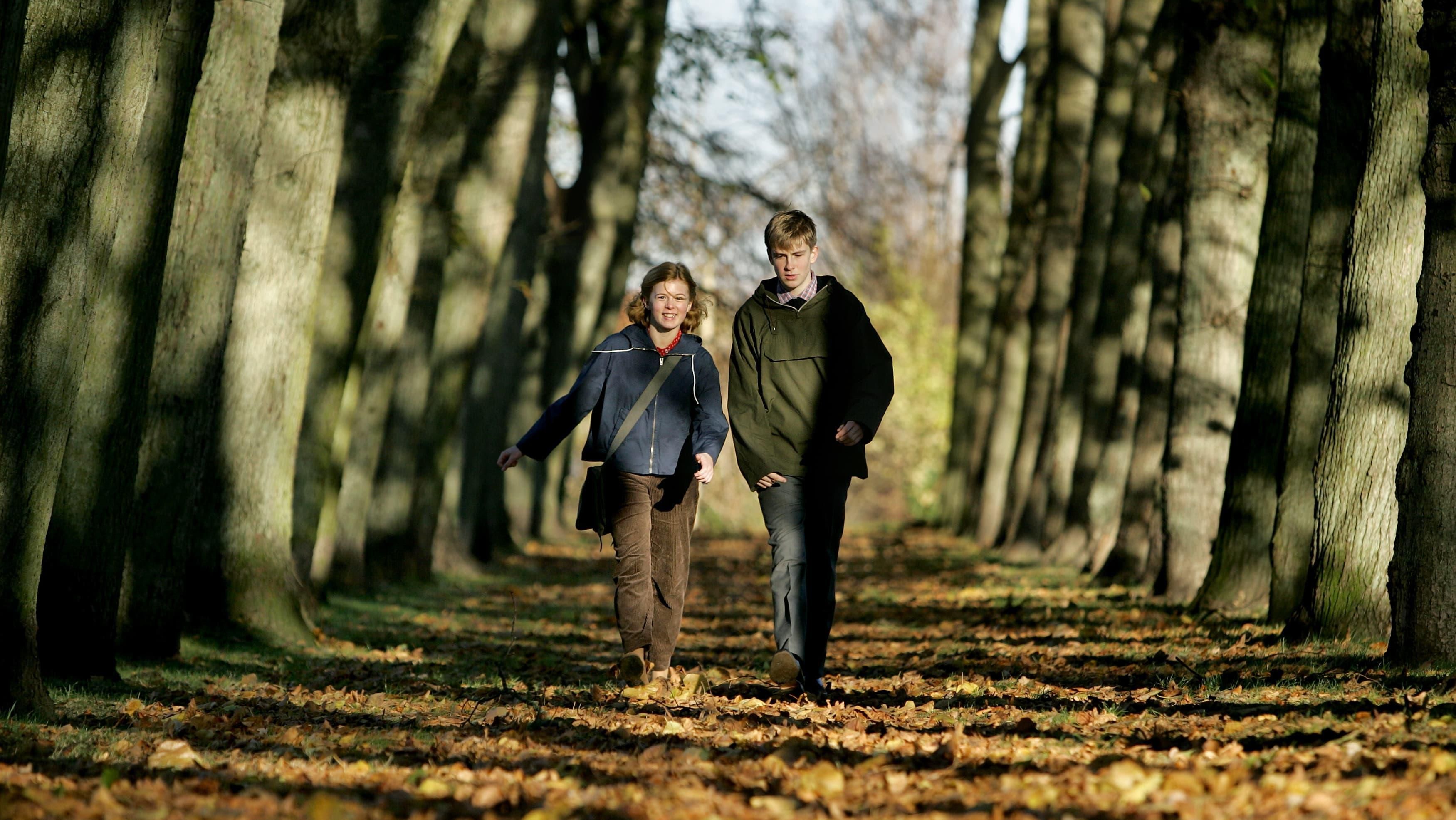 Aching Hearts thumbnail